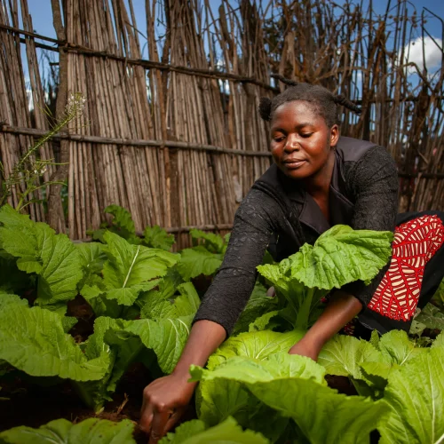 richard-nyoni-pwlPrLmNo3o-unsplash_w